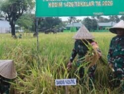 Panen Raya Padi, Kodim 1426 Takalar Perkuat Ketahanan Pangan dan Tekan Inflasi