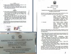 Dugaan Pungli di PPI Kajang Bulukumba, Karcis Tanpa Stempel Picu Polemik