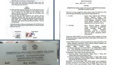 Dugaan Pungli di PPI Kajang Bulukumba, Karcis Tanpa Stempel Picu Polemik
