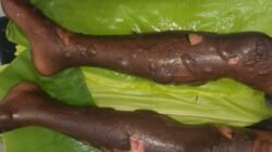 Polisi Selidiki Ledakan di Duga Bom Ikan di Tanakeke, Korban Sudah Diinterogasi