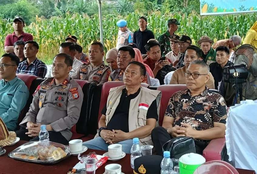 Dukung Program ASTACITA Presiden, Pemda Takalar Hadiri Panen Raya Jagung Serentak di Desa Cakura
