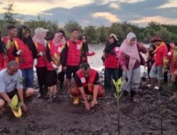 PMI Takalar Gelar Camp Pesisir dan Tanam 1.000 Mangrove, Libatkan 150 Relawan Muda