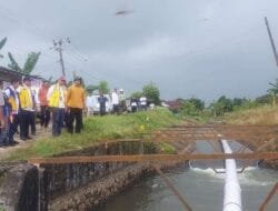 Respon Cepat Hamka B Kady Tuai Apresiasi, Petani Kale Lantang Kini Bisa Tersenyum