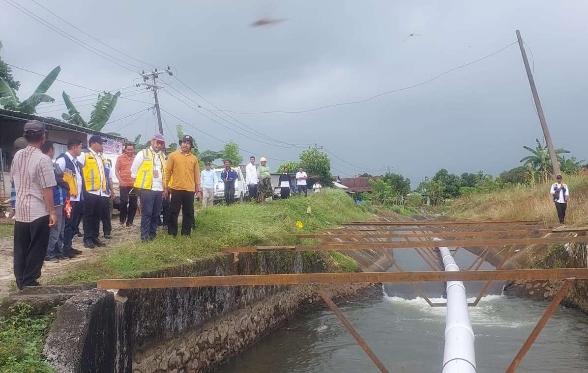 Respon Cepat Hamka B Kady Tuai Apresiasi, Petani Kale Lantang Kini Bisa Tersenyum