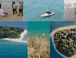 Ayo ke Takalar! Nikmati Keindahan Wisata Alam Pulau Sanrobengi