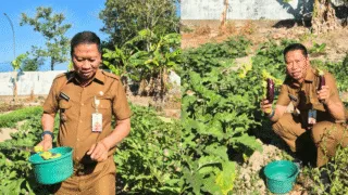 Kadis Pertanian Takalar Dorong OPD Sulap Lahan Kosong Jadi Lahan Produktif