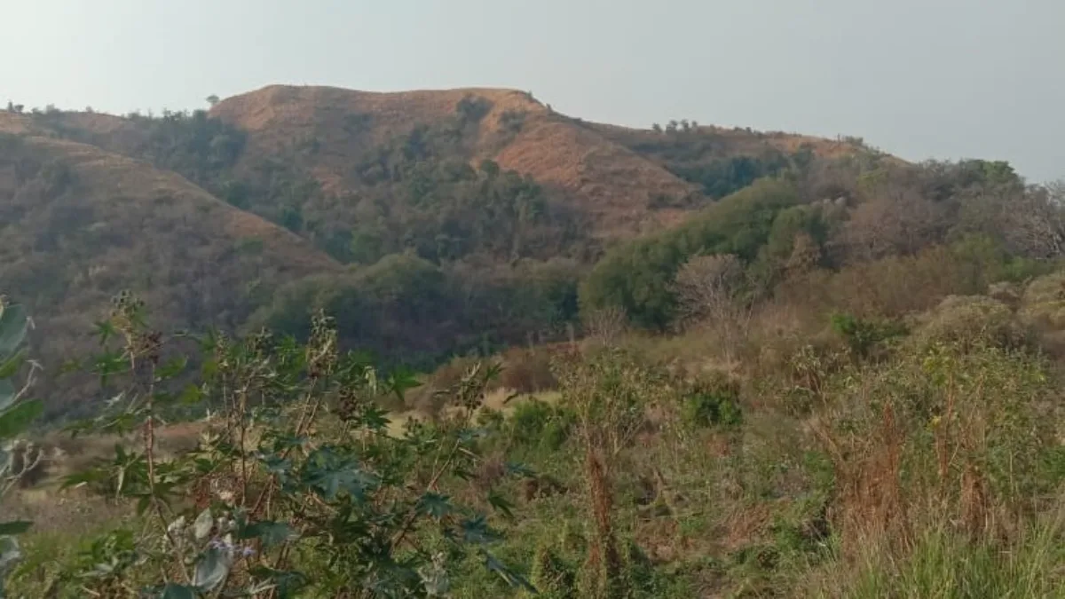 DUGAAN MAFIA TANAH DI LINGKO LASI MEMANAS, MASYARAKAT ADAT TENO MARI ORONG DESAK KEJARI USUT TUNTAS