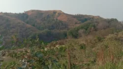 DUGAAN MAFIA TANAH DI LINGKO LASI MEMANAS, MASYARAKAT ADAT TENO MARI ORONG DESAK KEJARI USUT TUNTAS