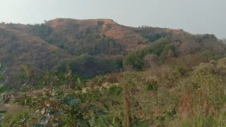 DUGAAN MAFIA TANAH DI LINGKO LASI MEMANAS, MASYARAKAT ADAT TENO MARI ORONG DESAK KEJARI USUT TUNTAS